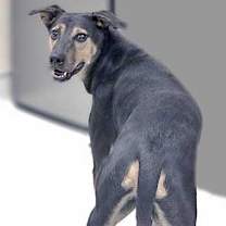 Thumbnail photo of Max #3