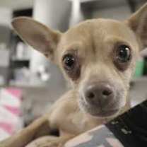 Thumbnail photo of 806025 #1