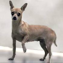 Thumbnail photo of 806025 #2