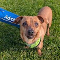 Thumbnail photo of Stretch #3