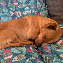 Thumbnail photo of Stretch #4