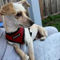 Thumbnail photo of Hope #2