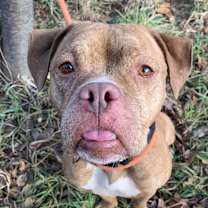 Thumbnail photo of Hattie #2