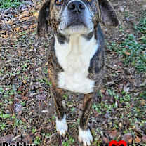 Thumbnail photo of Robby #1