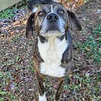 Thumbnail photo of Robby #2