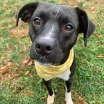 Thumbnail photo of Lilo #2