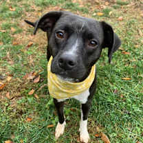 Thumbnail photo of Lilo #4