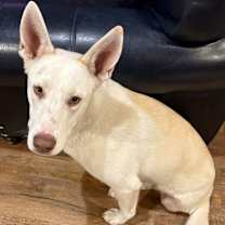 Thumbnail photo of Jonesy #2