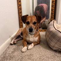 Thumbnail photo of Uncle Lewis #3