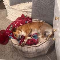 Thumbnail photo of Uncle Lewis #4