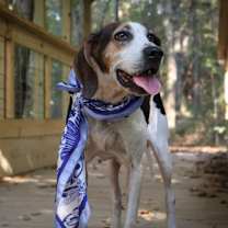 Thumbnail photo of Lucy #3