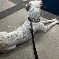 Thumbnail photo of SPOT #3