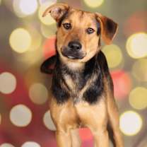 Thumbnail photo of Hyde #2