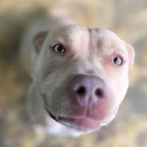 Thumbnail photo of Susie #2