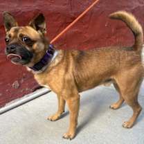 Thumbnail photo of Grimley #2