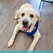 Thumbnail photo of Bud #1