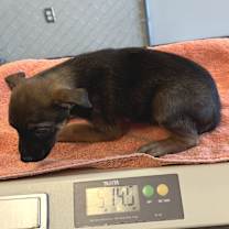 Thumbnail photo of 101688 #2