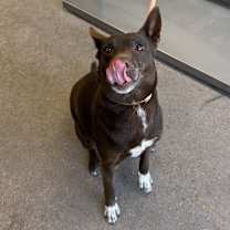 Thumbnail photo of Cleo #3