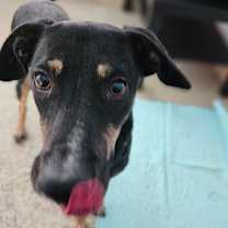 Thumbnail photo of Cuddles #3