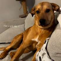 Thumbnail photo of Sunset #2