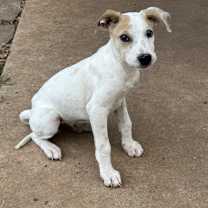 Thumbnail photo of JC 25-10-052 #2