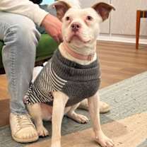 Thumbnail photo of Peridot #1