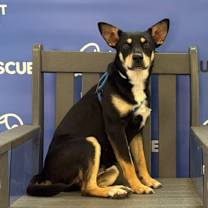 Thumbnail photo of ASIA #1