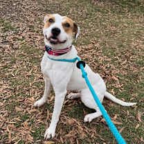 Thumbnail photo of Hattie #1