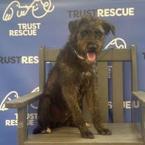 Thumbnail photo of CRICKET #2