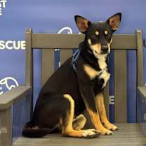 Thumbnail photo of ASIA #2