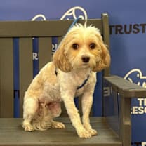 Thumbnail photo of EVIE #1