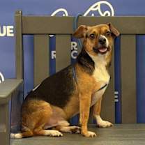 Thumbnail photo of ARTIE #1