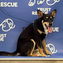 Thumbnail photo of ASIA #3