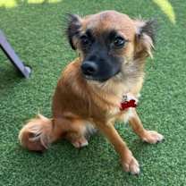 Thumbnail photo of Australia #1