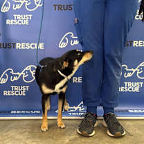 Thumbnail photo of ASIA #4