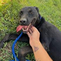 Thumbnail photo of Queenie #4