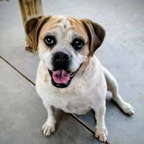 Thumbnail photo of Fiona #1