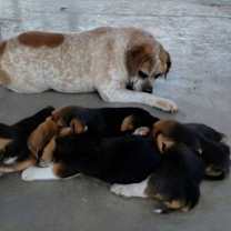 Thumbnail photo of Fiona #2