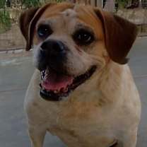 Thumbnail photo of Fiona #3