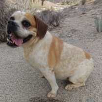 Thumbnail photo of Fiona #4