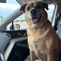 Thumbnail photo of Penny #1