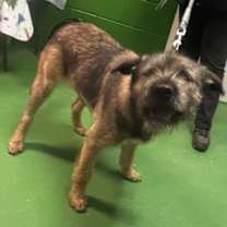 Thumbnail photo of Natalie - At shelter #4