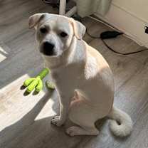 Thumbnail photo of Mikey #3