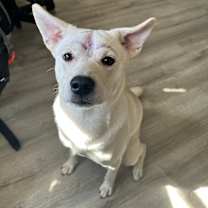 Thumbnail photo of Mikey #4