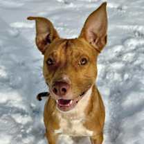 Thumbnail photo of Haden #2