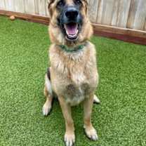 Thumbnail photo of Tater #1