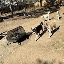 Thumbnail photo of Ellen #4