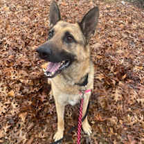 Thumbnail photo of Gentleman #3