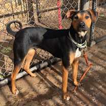 Thumbnail photo of Princess #1