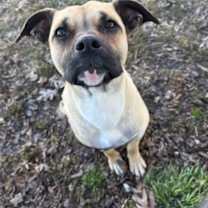 Thumbnail photo of Giggles #1